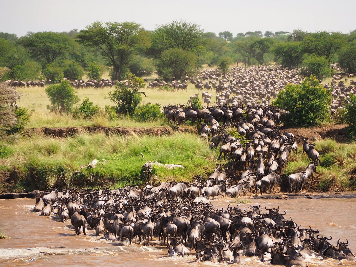 SlideShow Image number: 5 Travel Tips - 10 Mistakes First-Time Tanzania Safari Travelers Make (And How to Avoid Them)