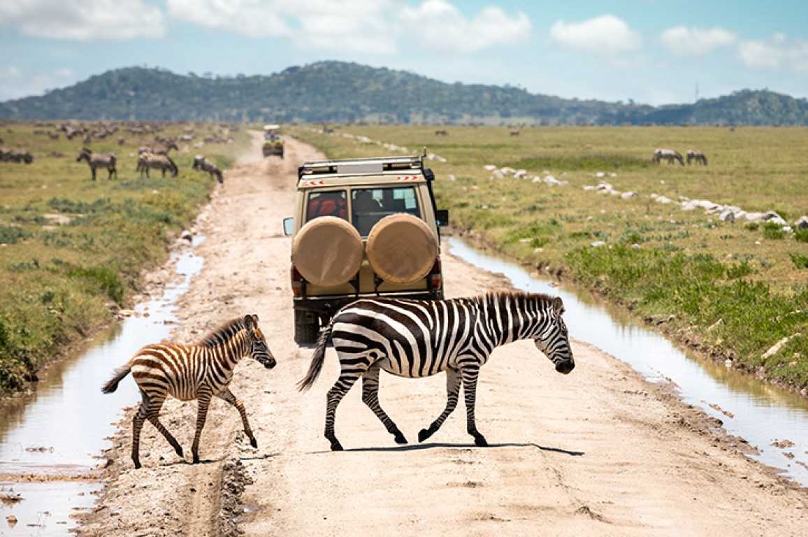 Image Slider No: 1 6-Day Budget Camping Safari in Tanzania – Tarangire, Serengeti & Ngorongoro