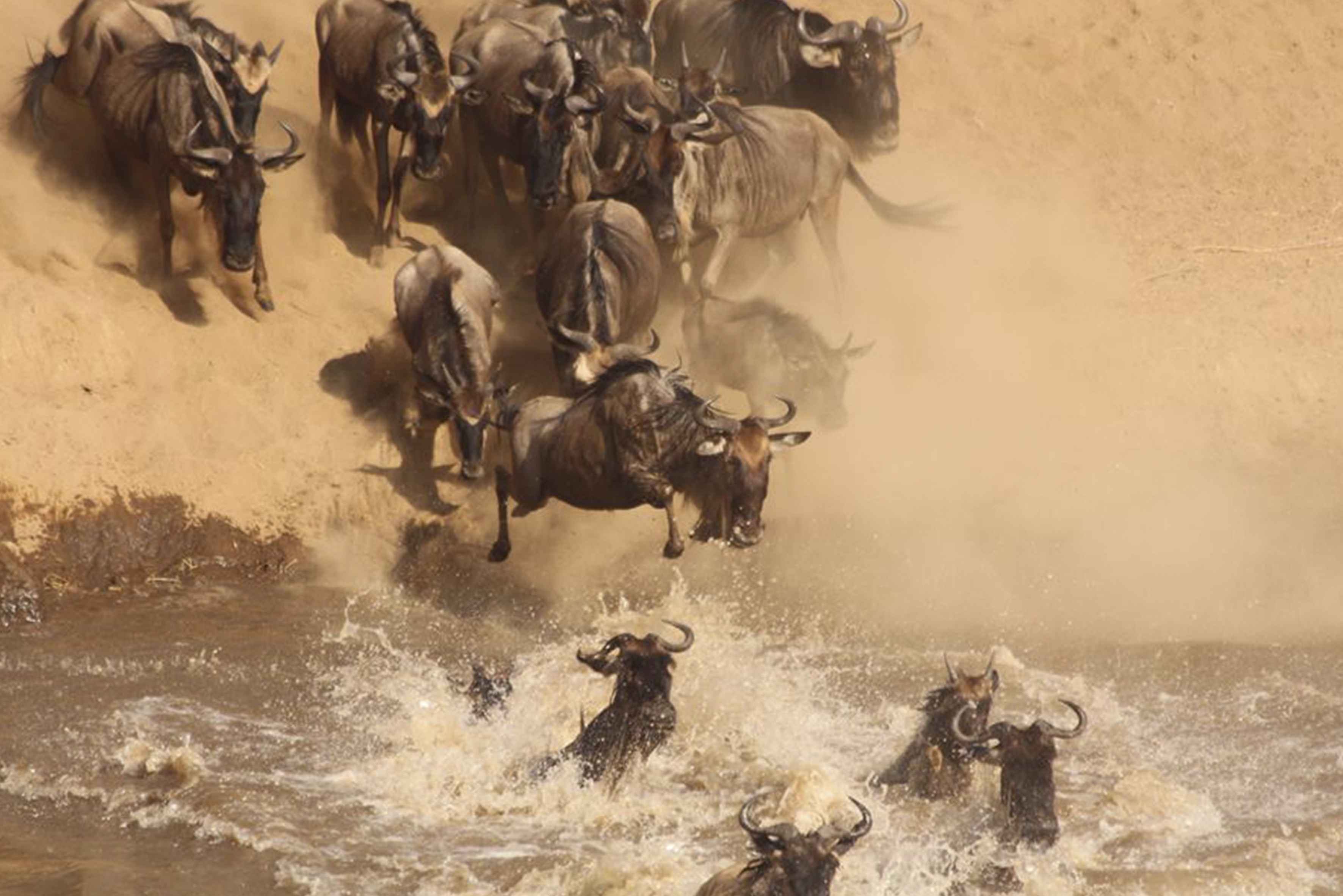 SlideShow Image number: 4 Travel Tips - 10 Mistakes First-Time Tanzania Safari Travelers Make (And How to Avoid Them)