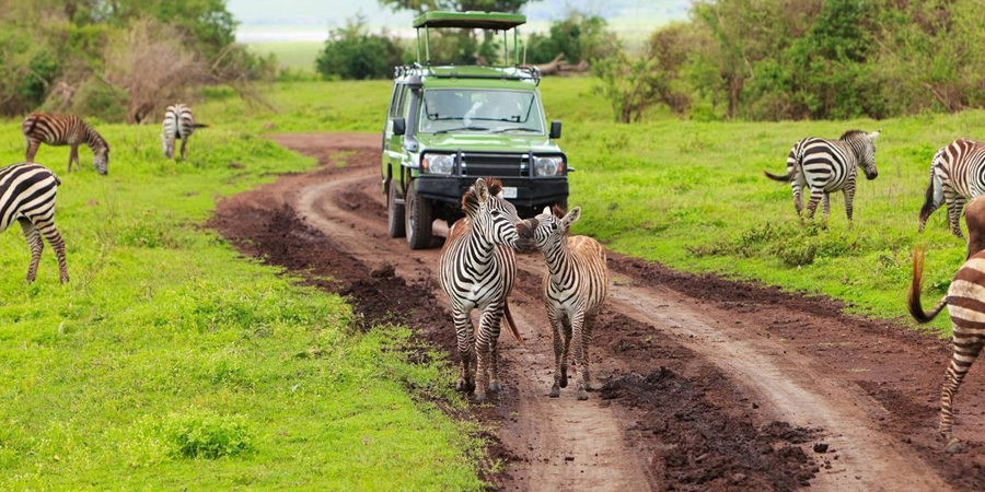 Image Slider No: 4 6-Day Budget Camping Safari in Tanzania – Tarangire, Serengeti & Ngorongoro