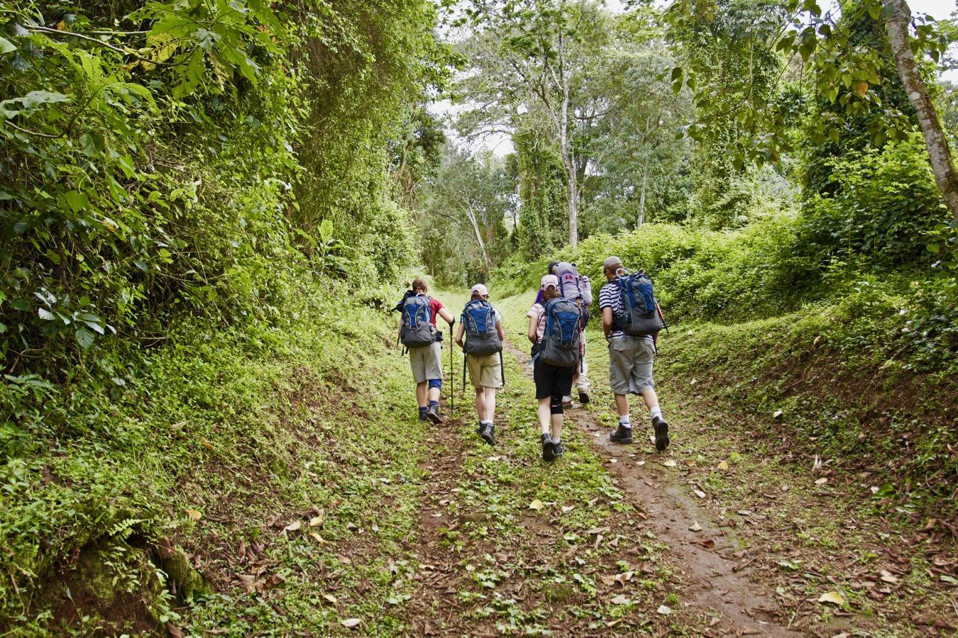 SlideShow Image number: 5 Kilimanjaro  - Conquering Kilimanjaro - The Epic Journey of the Lemosho Route