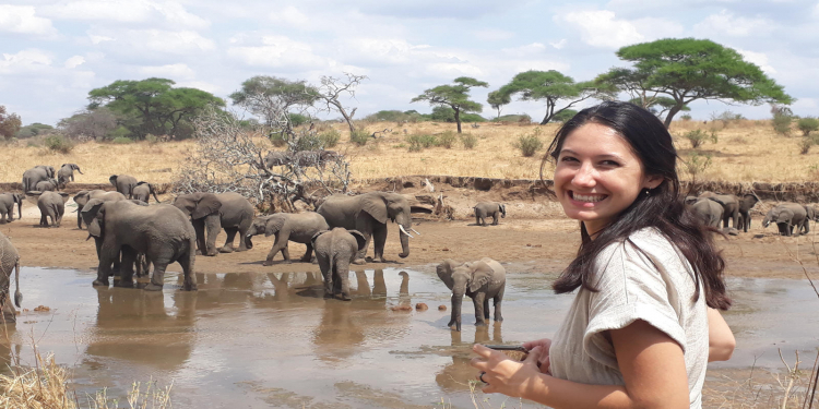 Unveiling the Best Safari in Tanzania