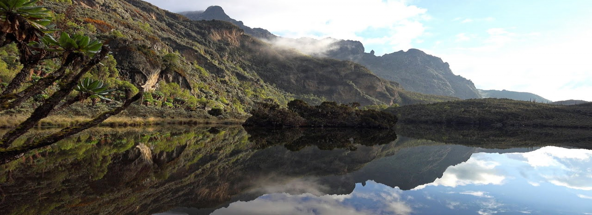 Background Image for Rwenzori Mountains National Park