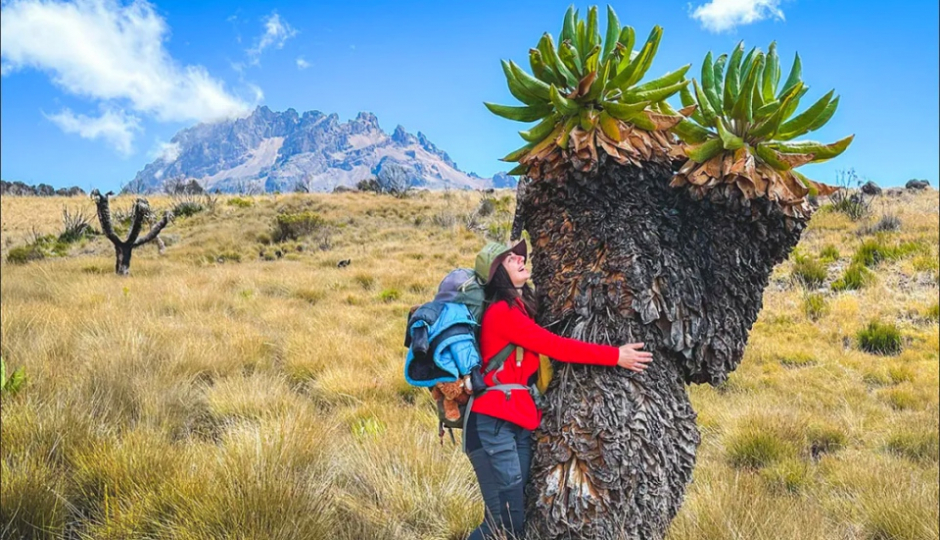 Thumb Nail Image: 1 Kilimanjaro Day Trip from Arusha: A Short Yet Thrilling Adventure