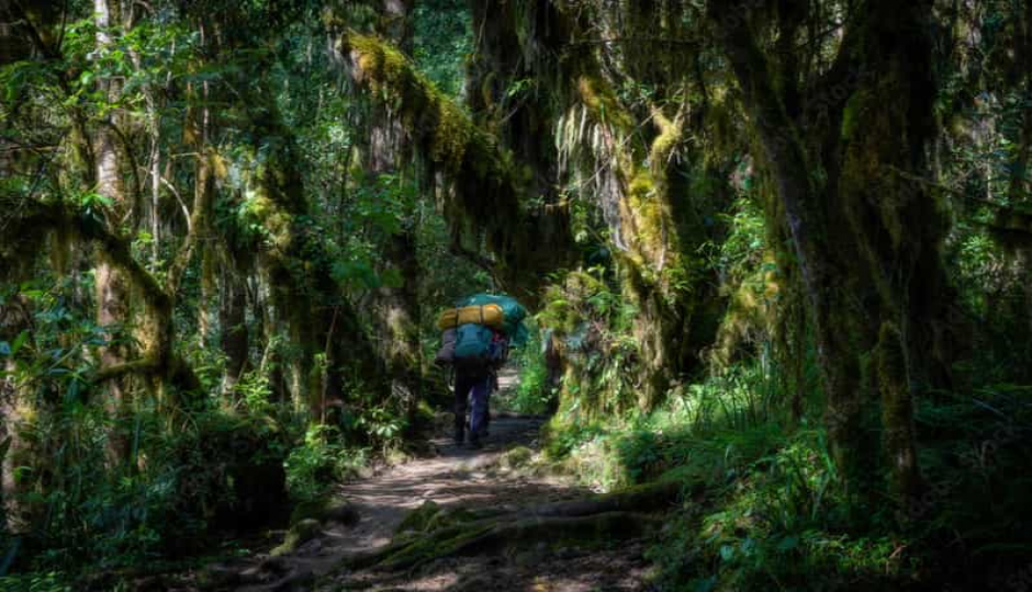 Actual image number 7 for slideshow images, displaying 27 tanzania safari images