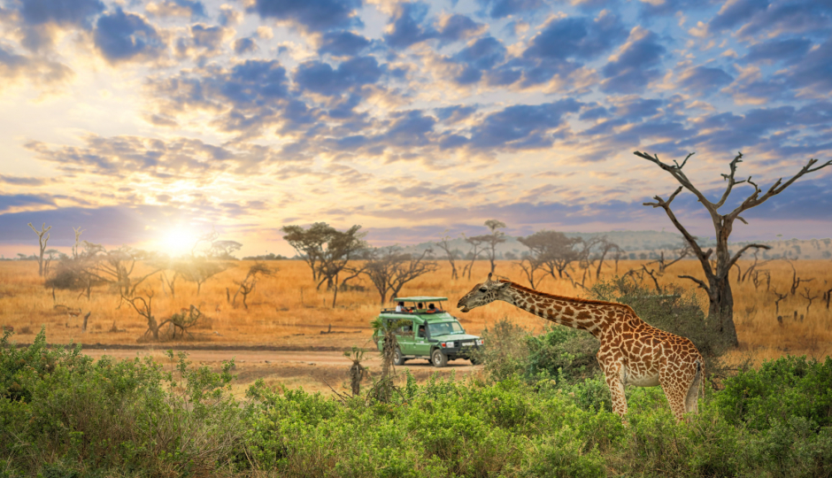 Image Post for Explore the Marvels of Tanzania Holidays: Top 10 Destinations