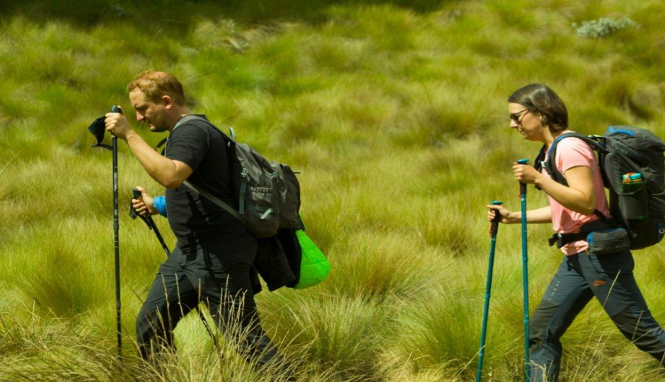 Thumb Nail Image: 4 Kilimanjaro Day Trip from Arusha: A Short Yet Thrilling Adventure