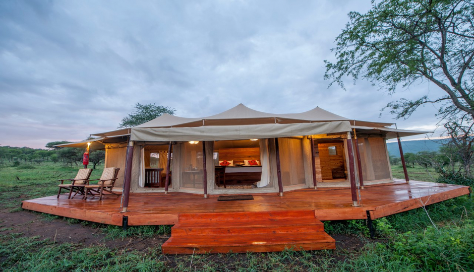 Thumb Nail Image: 5 Why You Should Book Your Tanzania Safari as Early as Possible