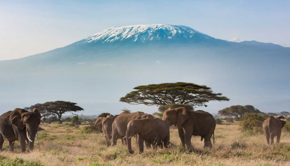 Thumb Nail Image: 3 The Ultimate Challenge: Why Trekkers Choose the Machame Route for Kilimanjaro Climbing