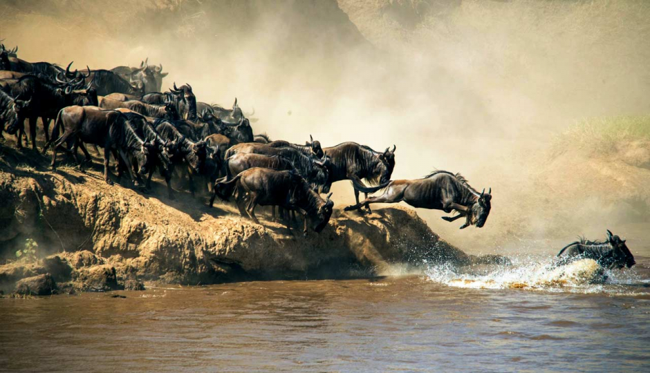 Thumb Nail Image: 1 The Great Migration in Serengeti: A Month-by-Month Guide to Nature’s Greatest Show