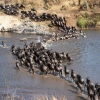 Blog post September Migration & Safari Update – Plus Travel Tips for September–October Title