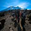 Thumb Nail Image: 5 Summit Serenity: Embark on the Adventure of a Lifetime with Lindo Travel & Tours' Kilimanjaro Events 2024