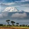 Blog post Scaling New Heights: Kilimanjaro Trekking Packages for an Unforgettable Adventure Title