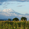 Thumb Nail Image: 2 Best of Kilimanjaro Trekking information When Climbing with us