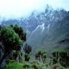 Thumb Nail Image: 1 Rwenzori Mountains National Park