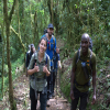 Thumb Nail Image: 1 Discover the Ultimate Kilimanjaro Day Trip - A Journey to Remember