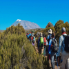 Blog post Looking to Join a Small Group Kilimanjaro Climb? Here’s Everything You Need to Know Title