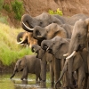 Blog post 10 Mistakes First-Time Tanzania Safari Travelers Make (And How to Avoid Them) Title